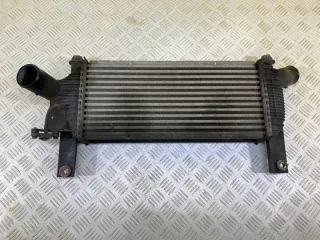 14461EB360 Интеркулер Nissan Navara D40 Арт 152917, вид 1