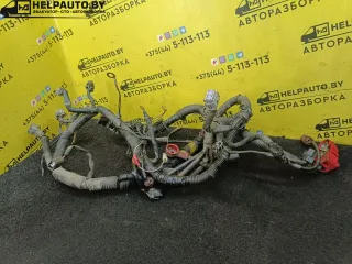  Проводка двигателя Nissan Almera N15 2.0л Арт 17-98-13, вид 1
