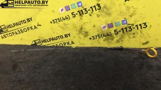 VQ20 Щуп двигателя Nissan Maxima А32 Арт 17-17-8, вид 1