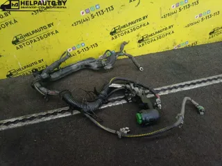 X20DTH Проводка двигателя Opel Vectra B Арт 17-98-9, вид 1