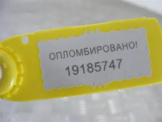 8200002155 Дождевик Renault Laguna 2 Арт PR19185747, вид 3