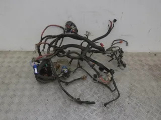 240114146R Проводка двигателя Renault Laguna 3 1.5л DCi Арт PR32560025, вид 1
