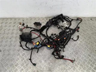 240117692R, 01973398, 243880001R Проводка двигателя Renault Megane 3 1.5л DCi Арт PR58435194, вид 1