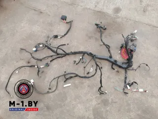242964885R проводка салона Renault Scenic 4 Арт 29254286, вид 1