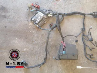 8200520036,0281012996,8200763646 Проводка двигателя Renault Laguna 2 Арт 02150314, вид 2