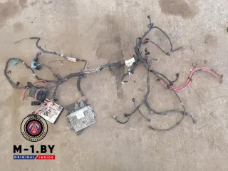 237100121R,237100425R Проводка двигателя Renault Megane 3 Арт 20153641, вид 1