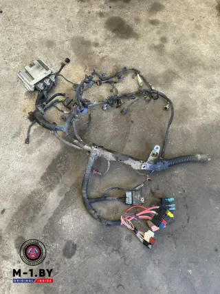 2181014208 Проводка двигателя Renault Trafic 2 Арт 94052551, вид 1