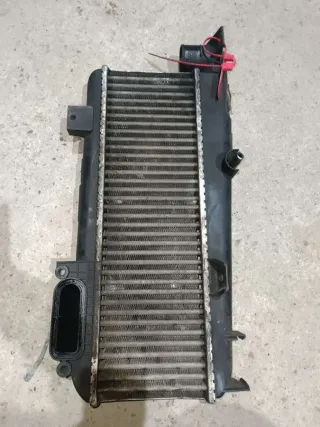 9613541380 Интеркулер Citroen Xsara Арт L746169, вид 1