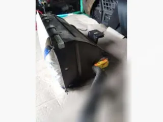 8200292044C Подушка безопасности пассажира Renault Megane 2 Арт C898180, вид 2