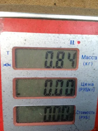 XS4117618 Бачок омывателя Ford Focus 1 Арт 47337, вид 6