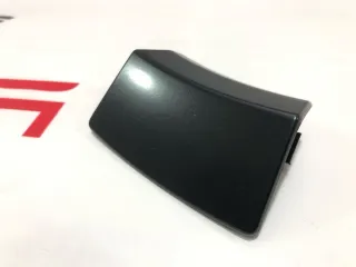 1620238-00-A,22040-23 Колпачок литого диска Tesla model X Арт 99464731, вид 1