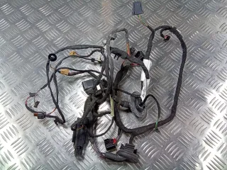 4G5971687T,4G5971693B Проводка двери задней левой Audi A6 C7 (S6,RS6) Арт 93624671