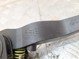 0280755026 Педаль газа Peugeot 206 1 Арт 21631, вид 5