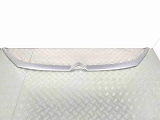 13051724,    1612180480 Молдинг решетки радиатора Citroen Jumper 3 Арт 000838, вид 1