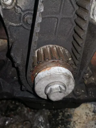 8200073935 Шестерня коленвала Renault Grand Scenic 3 Арт 8737_15, вид 1