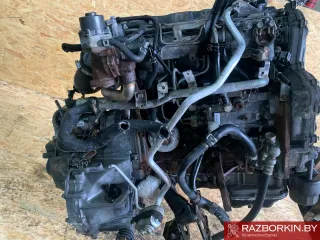 YD22DDTI Двигатель Nissan Primera 12 Арт W1047_1, вид 5