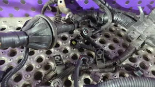 82121 CT 05890 Проводка двигателя Toyota Avensis 2 2.2л Арт 94298204, вид 2
