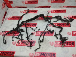  Проводка двигателя Toyota Avensis 3 2.0л D4D Арт 5786, вид 1