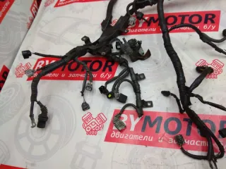  Проводка двигателя Toyota Avensis 3 2.0л D4D Арт 5786, вид 2