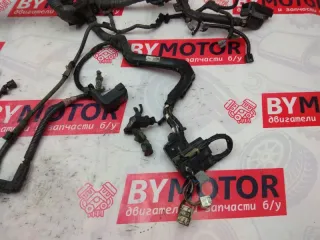  Проводка двигателя Toyota Avensis 3 2.0л D4D Арт 5786, вид 6