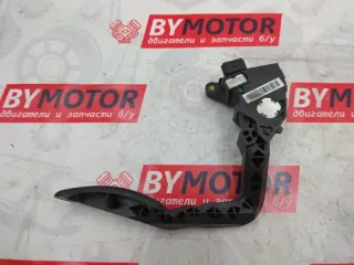 180100011R педаль газа Renault Scenic 3 Арт 10334, вид 1