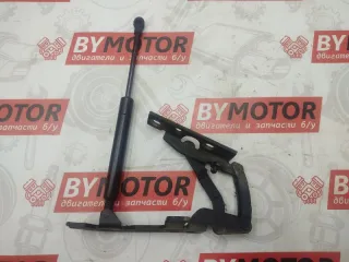 41617006124 петля капота BMW X5 E53 Арт 12069, вид 1