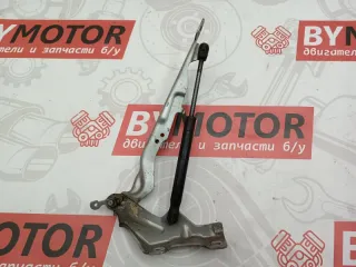 31250186 петля капота Volvo V70 3 Арт 12617, вид 1
