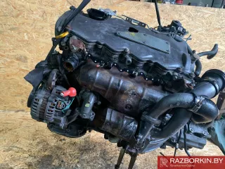 YD22DDTI Двигатель Nissan Almera Tino Арт W1056, вид 3