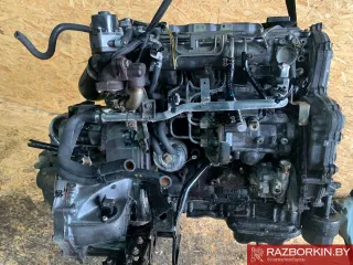 YD22DDTI Двигатель Nissan Almera Tino Арт W1056, вид 5