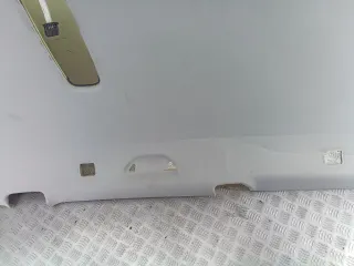 3C9867501FK Потолок Volkswagen Passat B6 Арт 94366053, вид 18