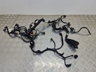 00552688840, M07600457 Проводка двигателя Fiat Panda 3 Арт 007550, вид 1