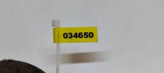6025300484 Усилитель переднего бампера Renault Espace 3 Арт 034650, вид 6