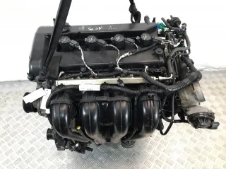 QQDB Двигатель Ford Focus 2 restailing Арт 414304, вид 6