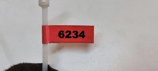 966020105,807210002R,966415102 Стеклоподъемник электрический передний левый Renault Megane 3 Арт 6234, вид 8