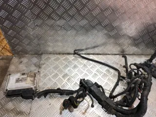  Блок управления двигателем Volkswagen Sharan 1 restailing Арт 94481213, вид 1