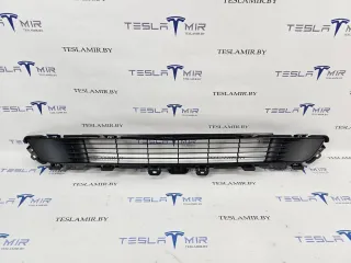 1493759-00 Заглушка (решетка) в бампер Tesla model Y Арт 31891, вид 1