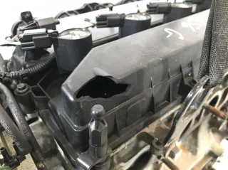QQDB Двигатель Ford Focus 2 Арт 388371, вид 5