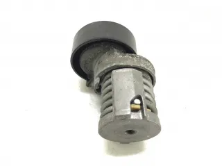 030145299F Натяжитель ремня генератора Volkswagen Golf 5 Арт 423182, вид 3