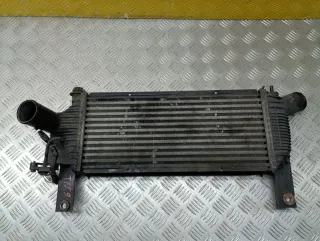 14461EB360 Интеркулер Nissan Pathfinder 3 Арт 214597, вид 2