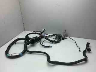 100441900H Проводка двери передней левой Tesla model S Арт 100319