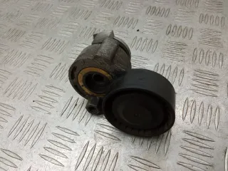  Натяжитель ремня генератора Renault Modus Арт 1101548
