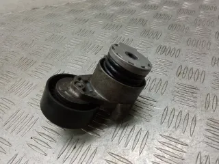 Натяжитель ремня генератора Renault Modus 2008г.  - Фото 3