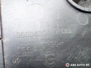 9650439480,9658054280 Полка аккумулятора Citroen C5 2 Арт A27394, вид 4