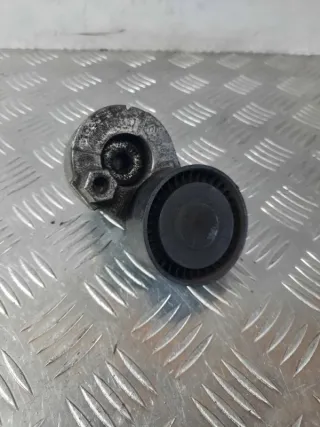 8200460446 Натяжитель Nissan Qashqai 1  Арт 9469, вид 2