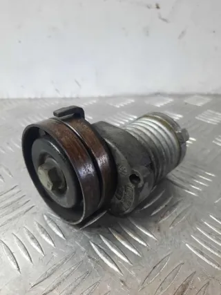030145299C Натяжитель ремня генератора Volkswagen Golf 4 Арт 9835, вид 1