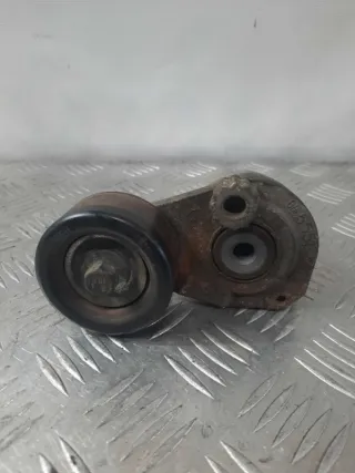 55563512 Натяжитель ремня генератора Opel Zafira B Арт 11036, вид 1
