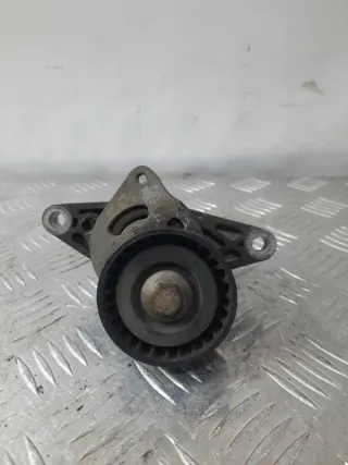 9638976580 Натяжитель ремня генератора Peugeot 206 1 Арт 12242, вид 1