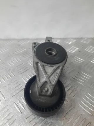 06A903315E Натяжитель ремня генератора Volkswagen Golf 4 Арт 12716, вид 4