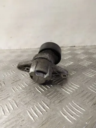 9638976580 Натяжитель ремня генератора Peugeot 206 1 Арт 15443, вид 3