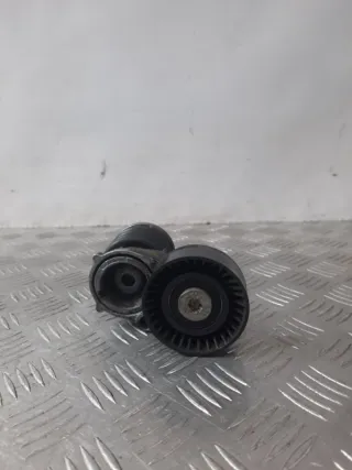 03D903305B Натяжитель ремня генератора Volkswagen Polo 5 Арт 16346, вид 1